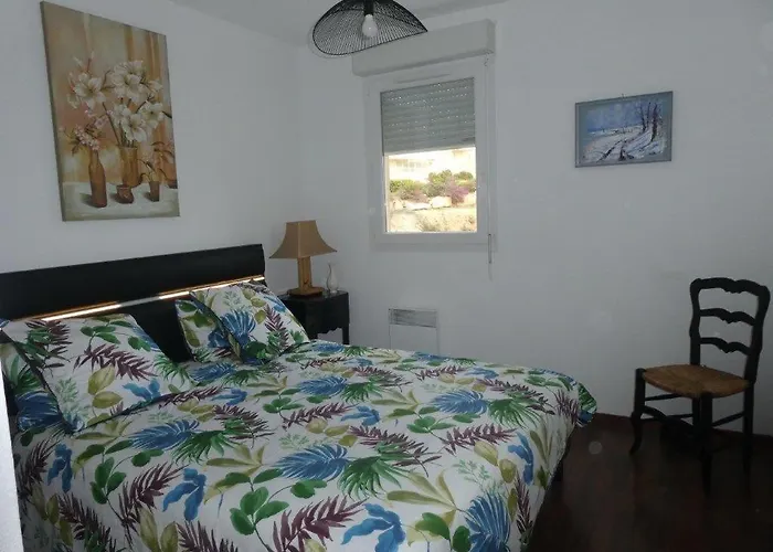 Sanguinaires T2 150metres De La 公寓